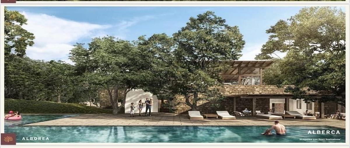 Foto de terreno habitacional en venta en  , las cruces [carretera nacional kilómetro 236], allende, nuevo león, 31418492 No. 03